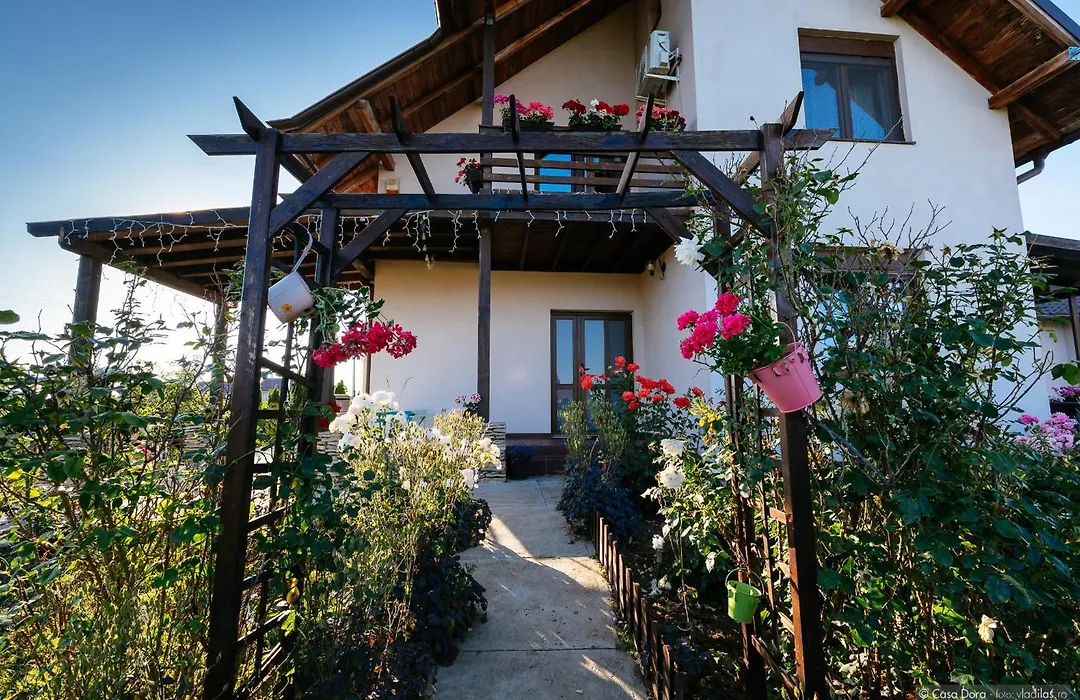 Casa Dora-1