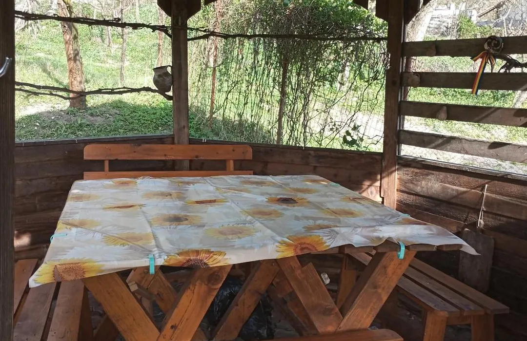 Casa Rustica Oltenia-1