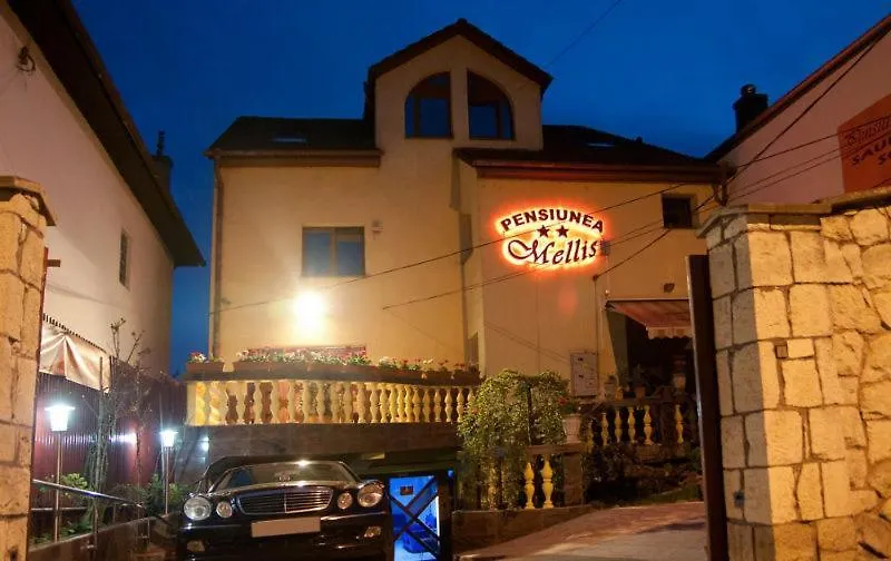 Pension Mellis Cluj Napoca-1