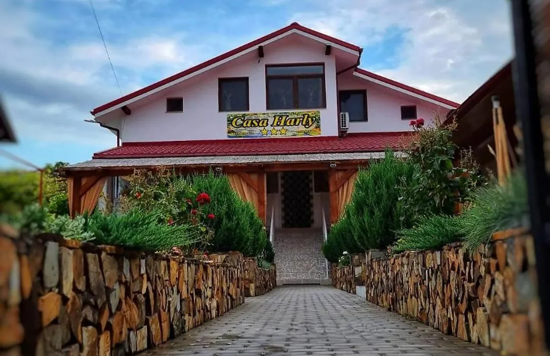 Pensiunea Casa Harly-1
