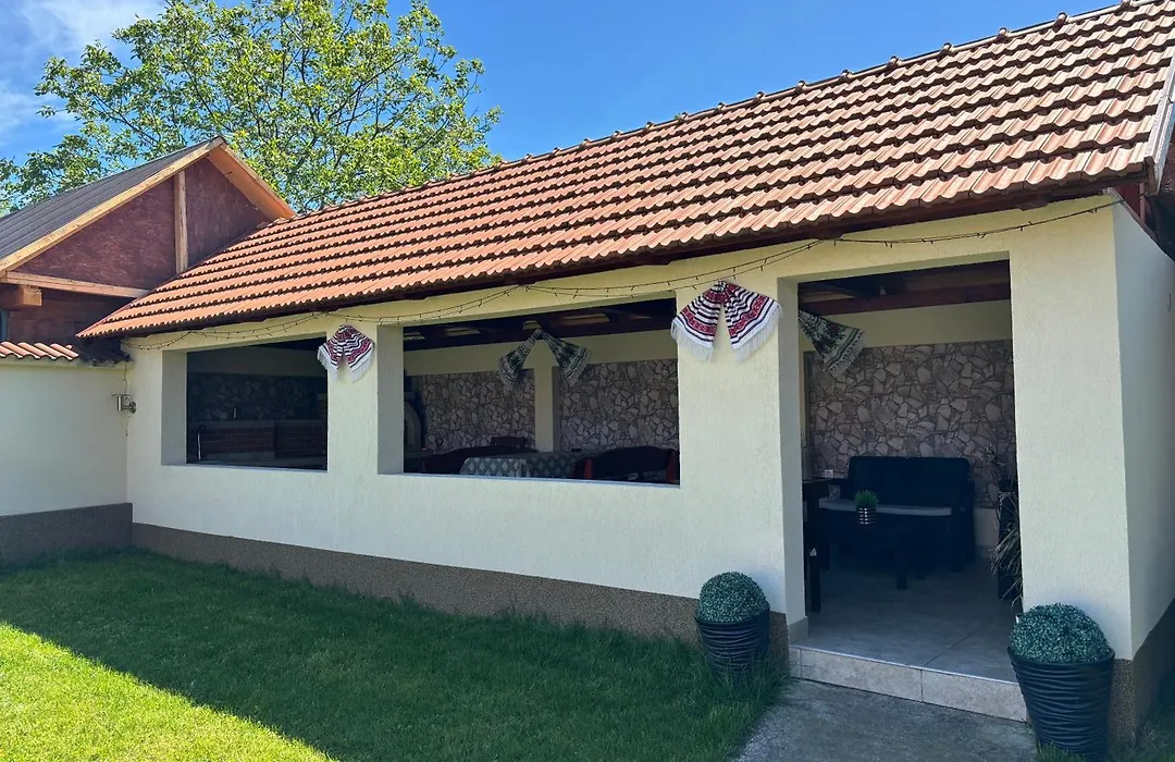 Casa Otilia-1
