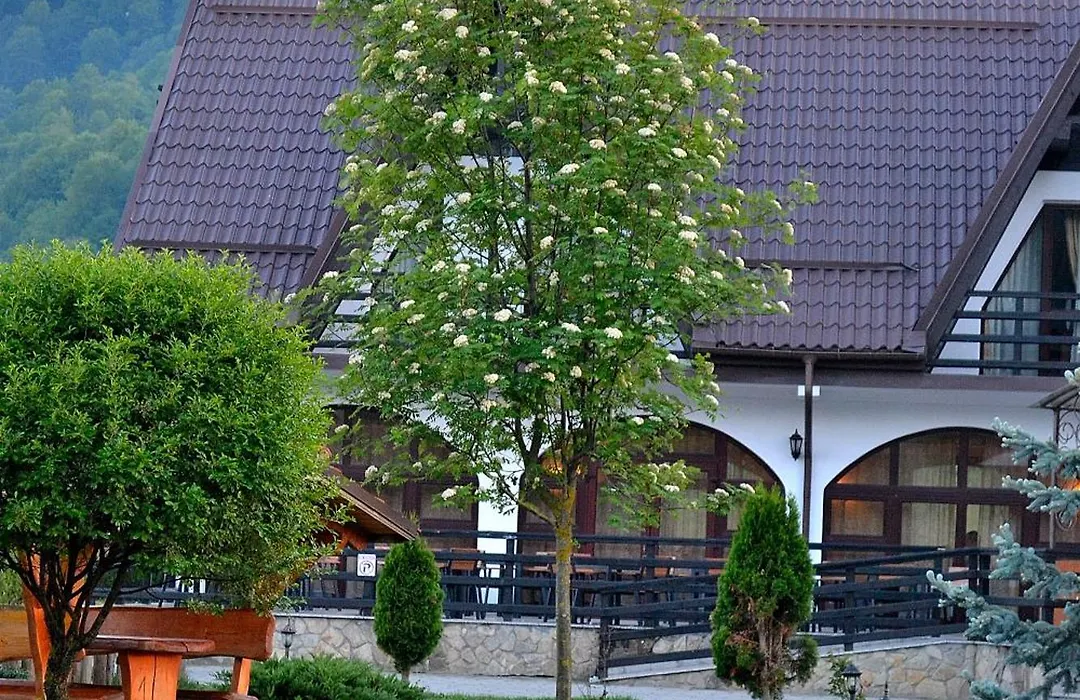 Poiana Rasnoavei-1