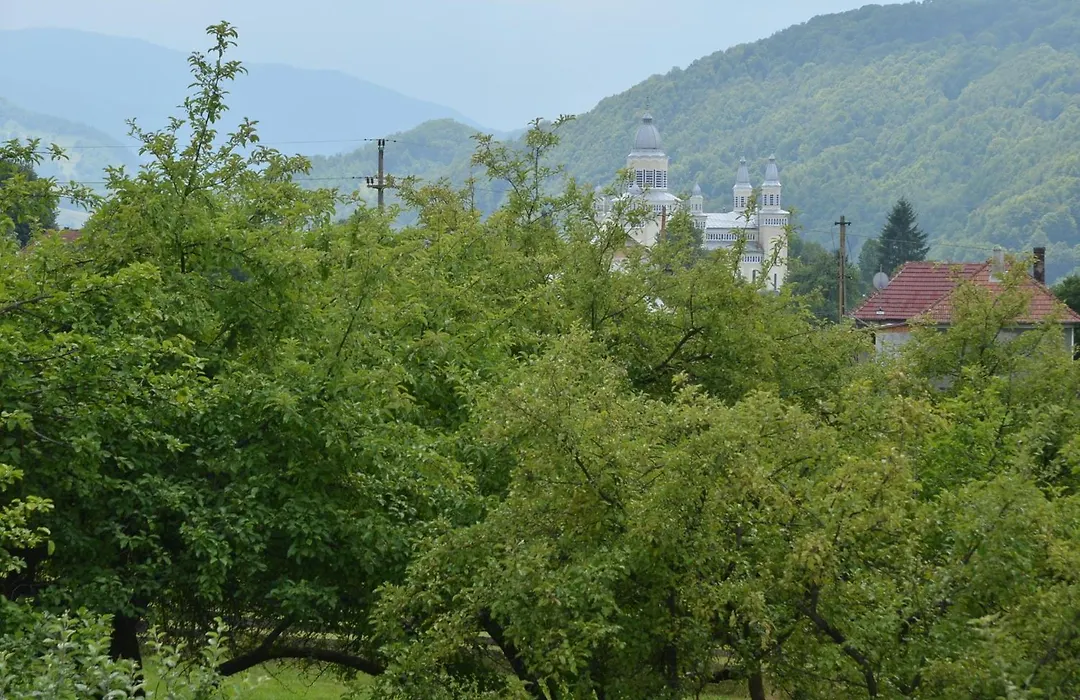 Pensiunea Poezii Alese-1