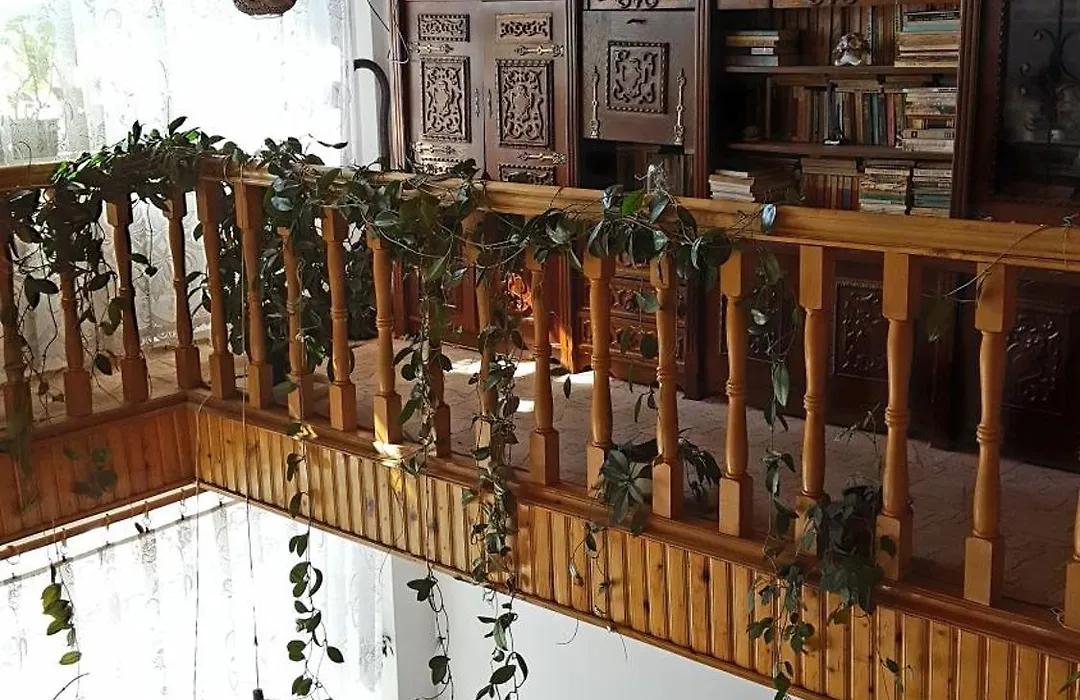 Pensiunea Anda-1