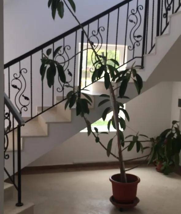 Vila Ioana-1