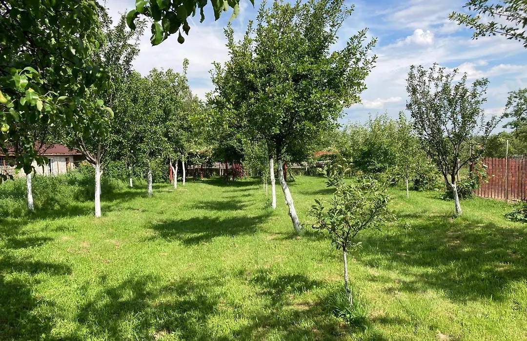 Pensiunea Casa Domnitei-1