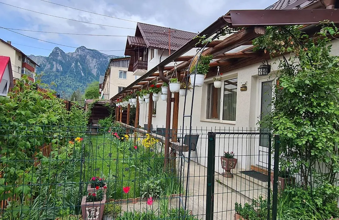 Casa Farcaș Bușteni-1