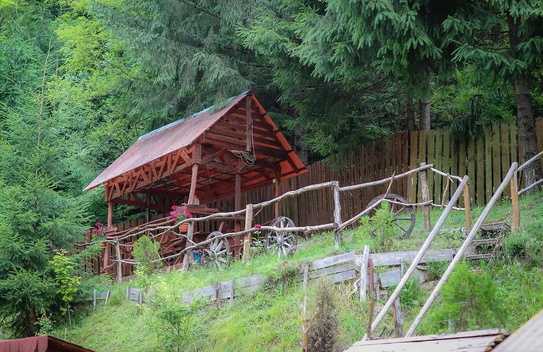 Pensiunea Cheile Albacului-1