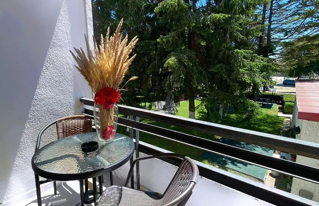 Hotel Rodica-1