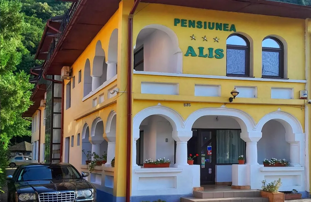 Pensiunea Alis-1
