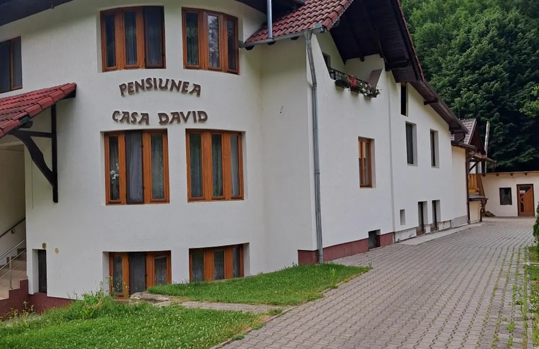 Pensiunea Casa David-1