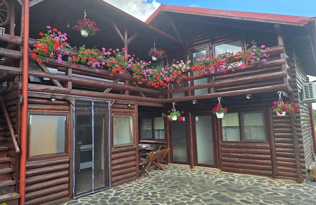 Casa Baciu-1