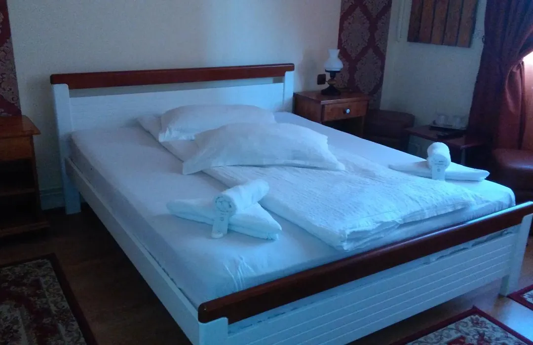 Vila Nicoleta-1