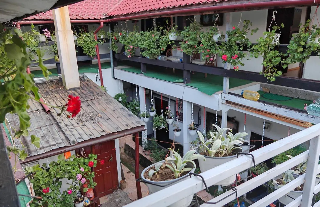 Pensiunea Casa montana-1