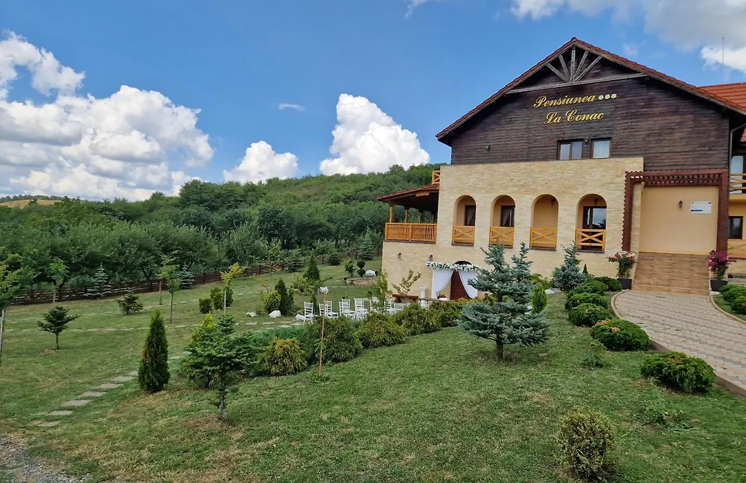 Pensiunea La Conac-1