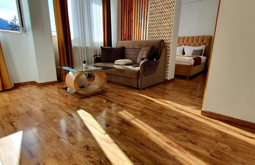 Laura Apartments Sinaia-1