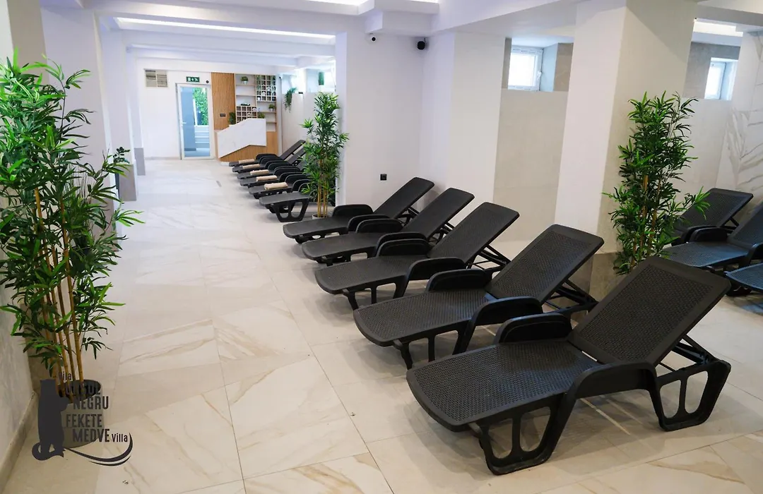 Vila Ursul Negru-1
