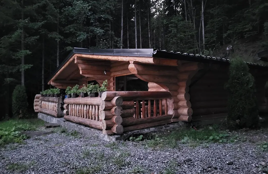 Cabanele Silvania 1-1