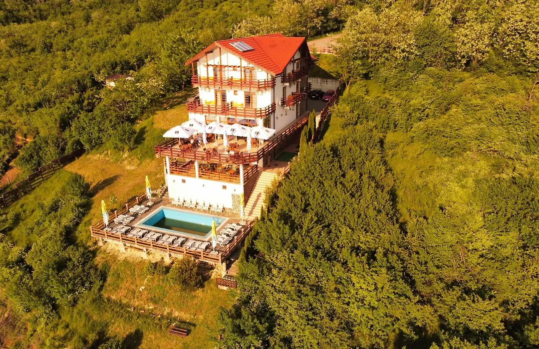 Pensiunea Belvedere Cincis-1
