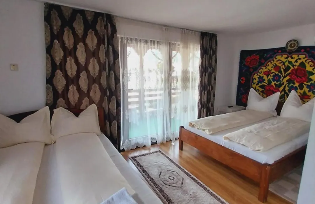 Pensiunea Rustic Oncesti-1