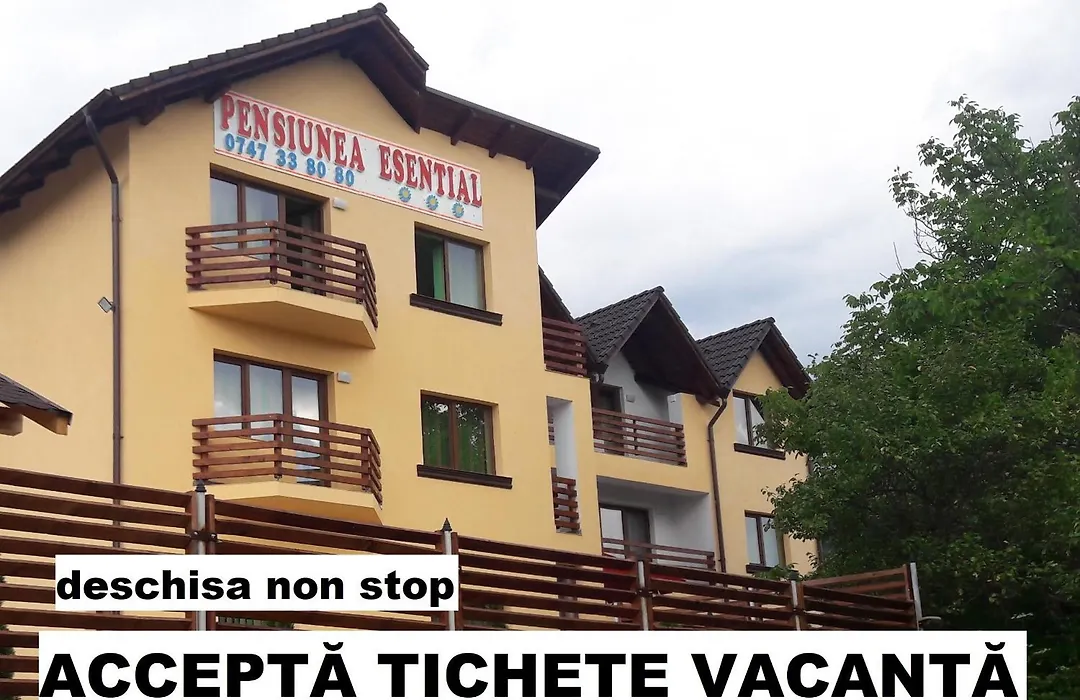 Pensiunea Esential-1