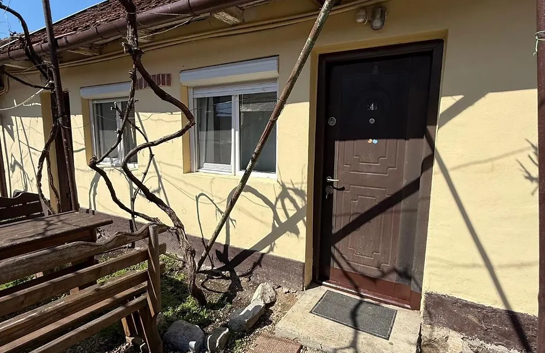 Casa Taraneasca-1