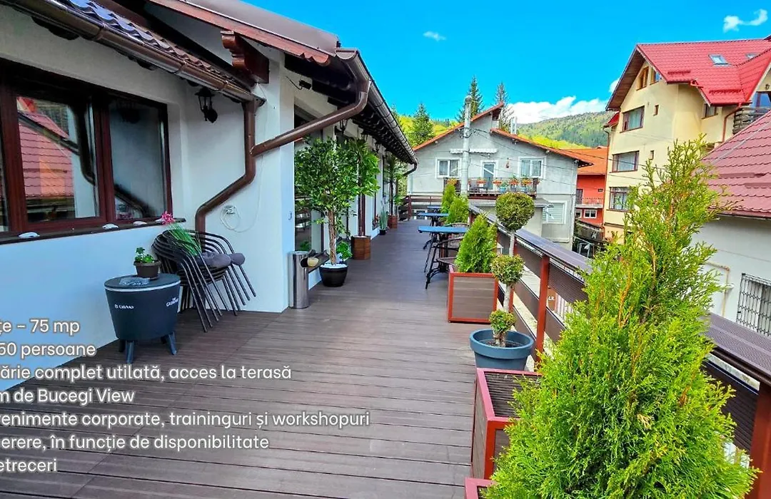 Bucegi View-1