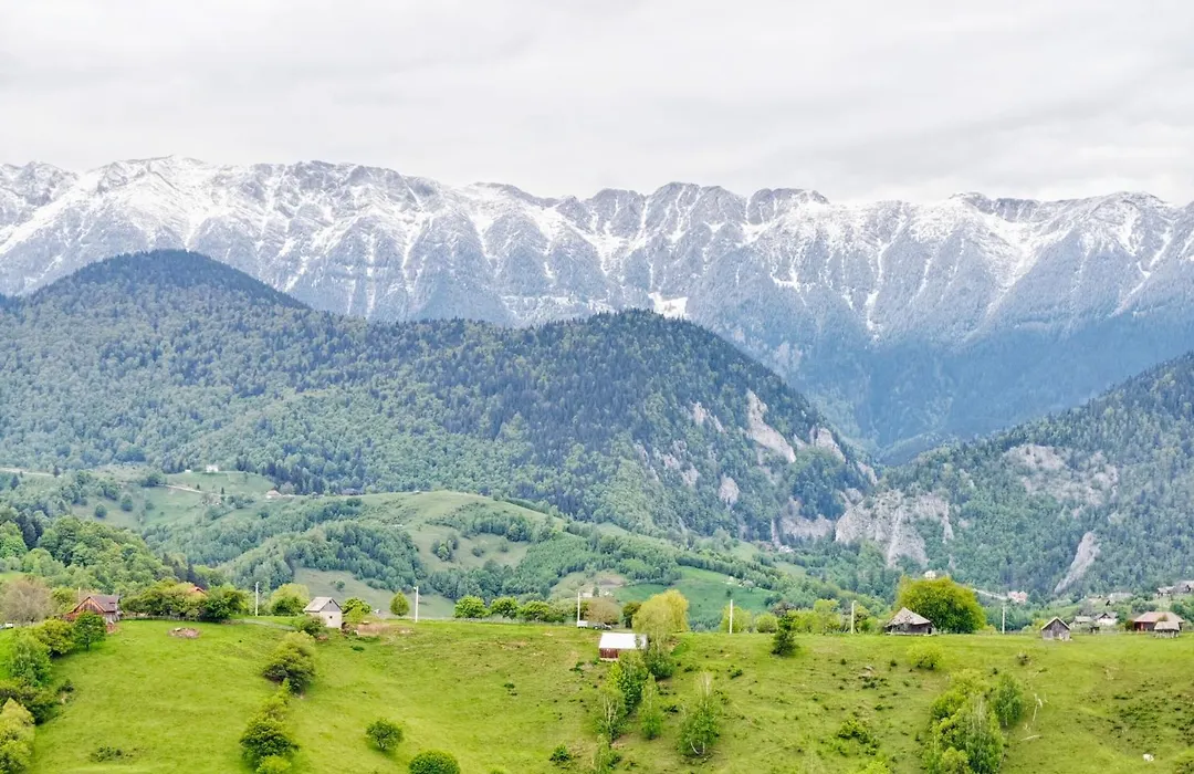 Alpine Escape Studios-1