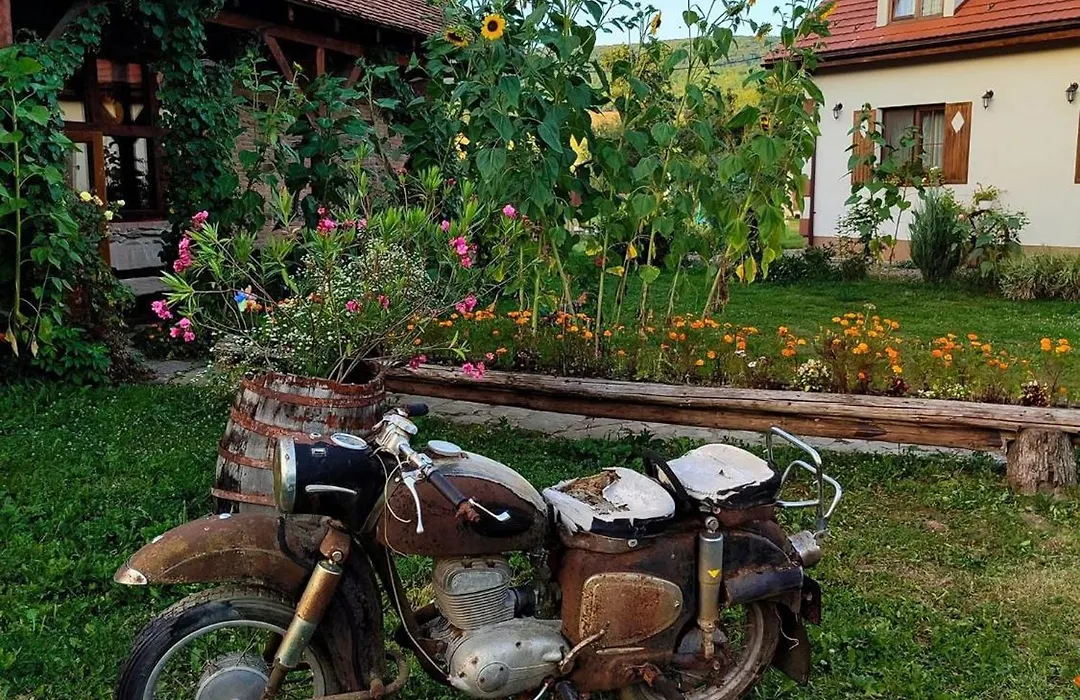 Pensiunea Elena-1