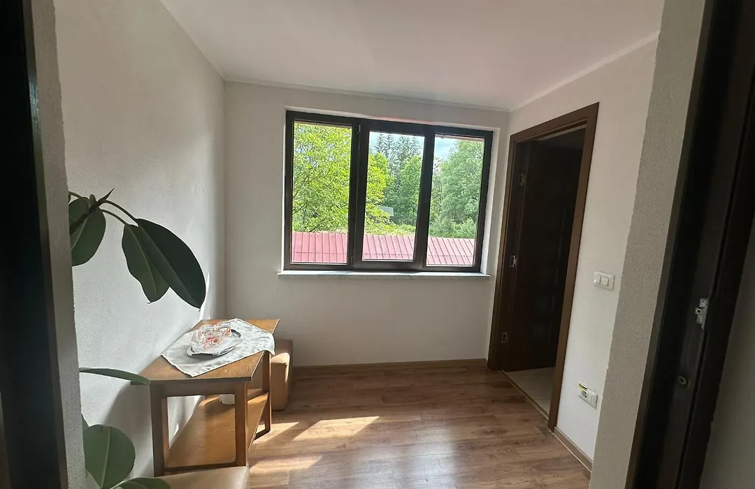 Pensiunea Casa Domniței Sucevița-1