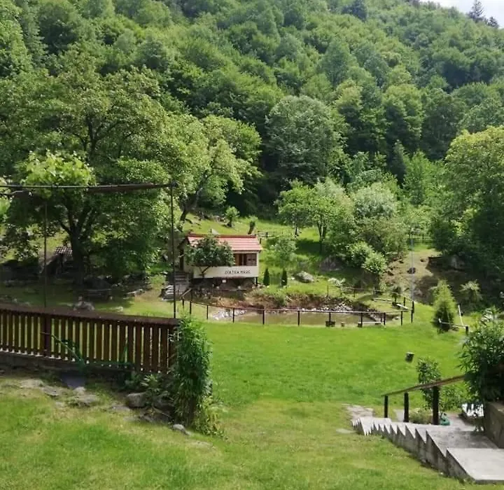 Pensiune Piatra Mare-1