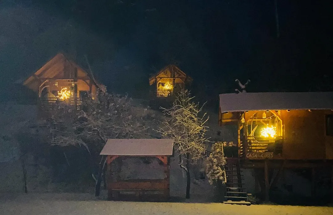 Domeniul Horj Casa din Stejar Moisei-1