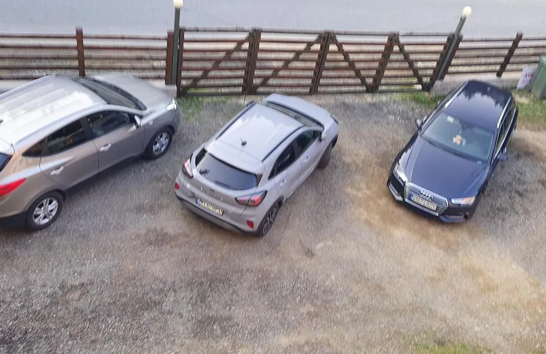 Vidra Parc-1