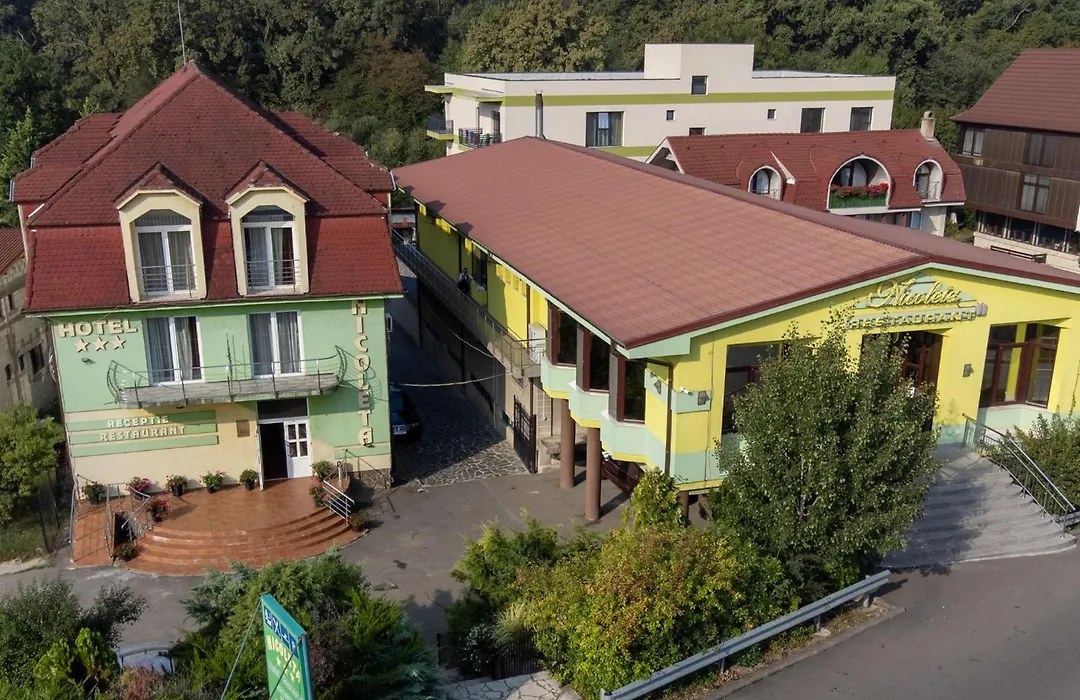 Hotel Nicoleta-1