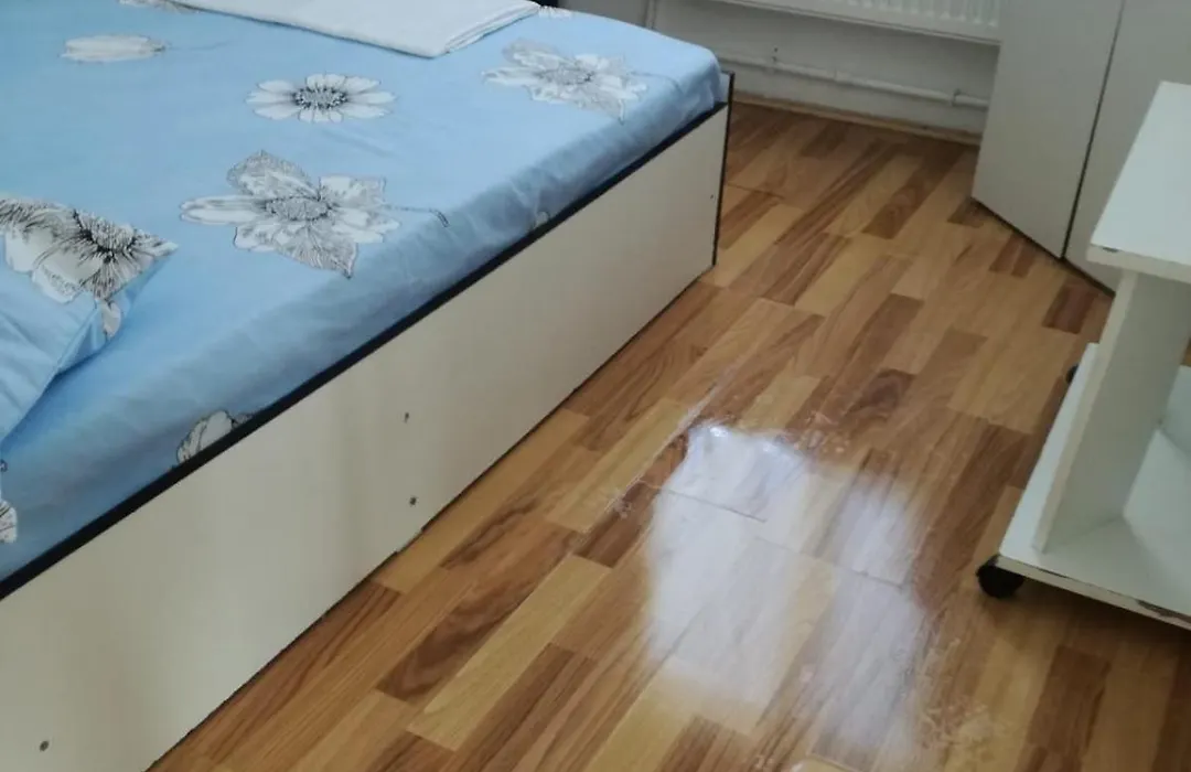 Vila Emy Constanta-1
