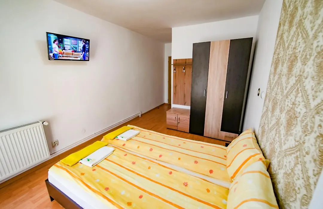 Casa Anca Hațeg-1