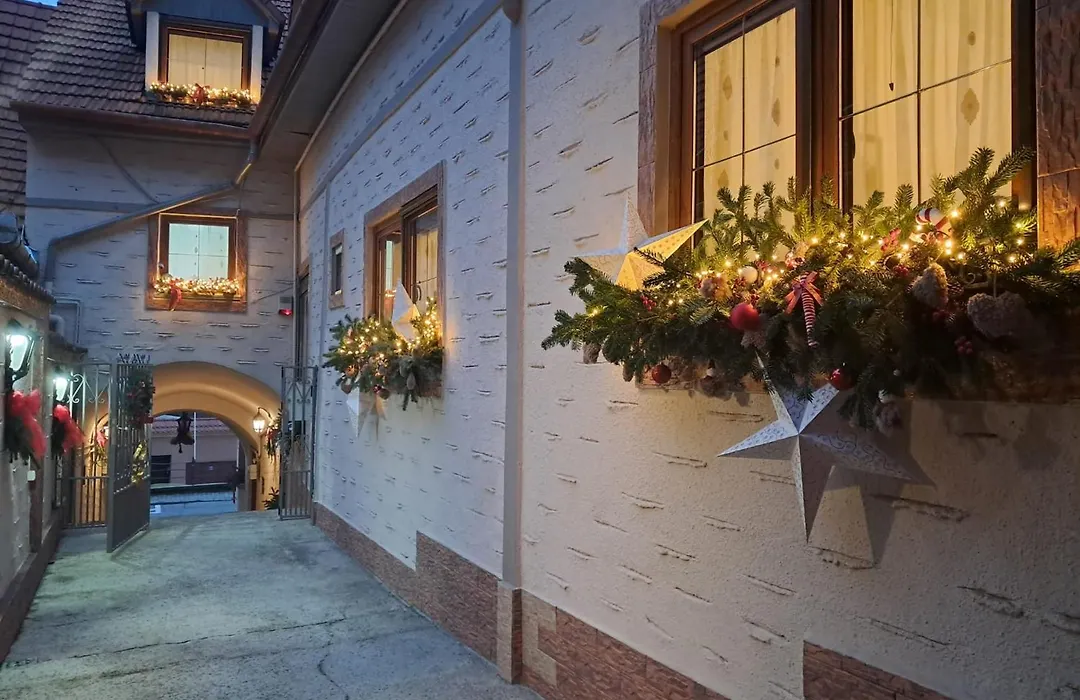 Hotel Claudiu-1