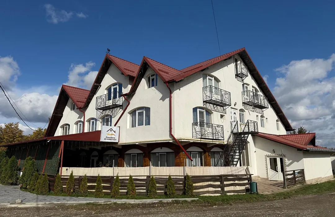 Pensiunea Dumbrăvița-1