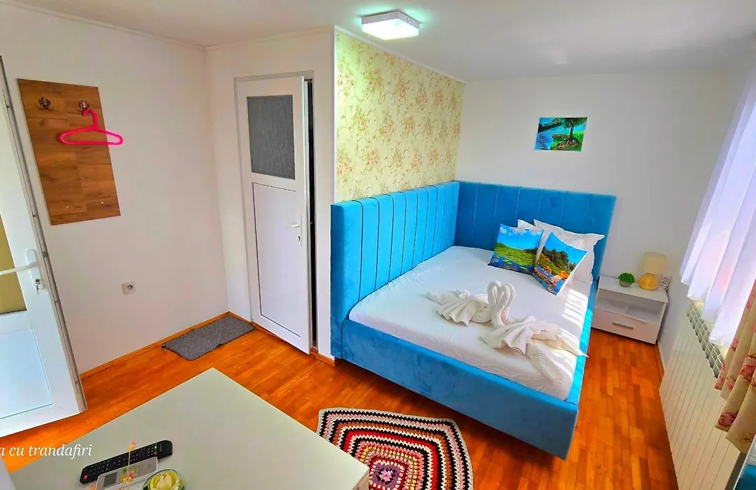 Casa cu Trandafiri Murighiol-1