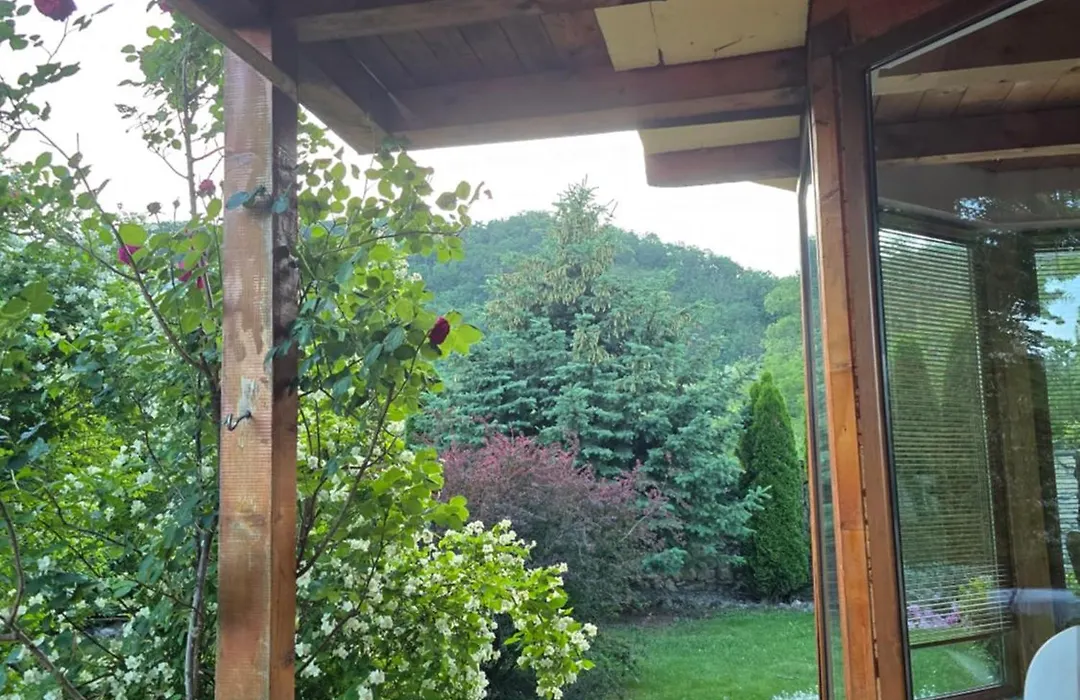 The Wooden House-1