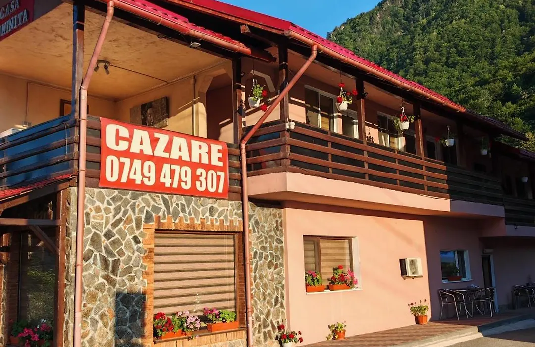 Casa Luminita-1