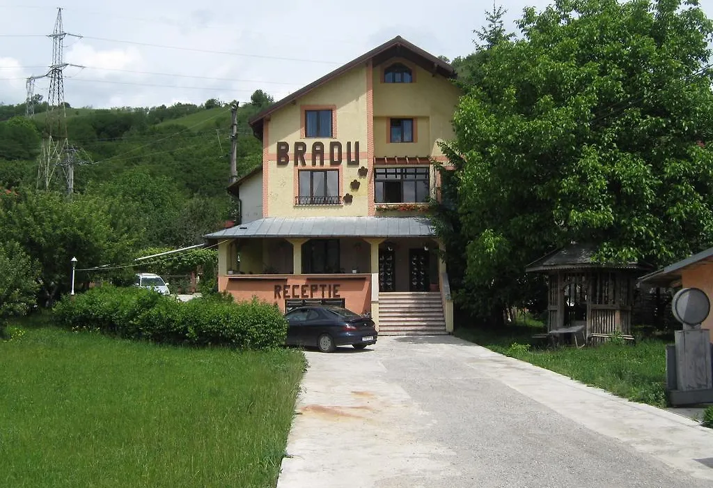 Pensiunea BRADU-1