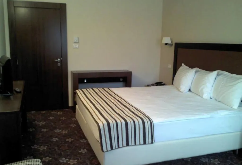 Hotel Phoenix-1