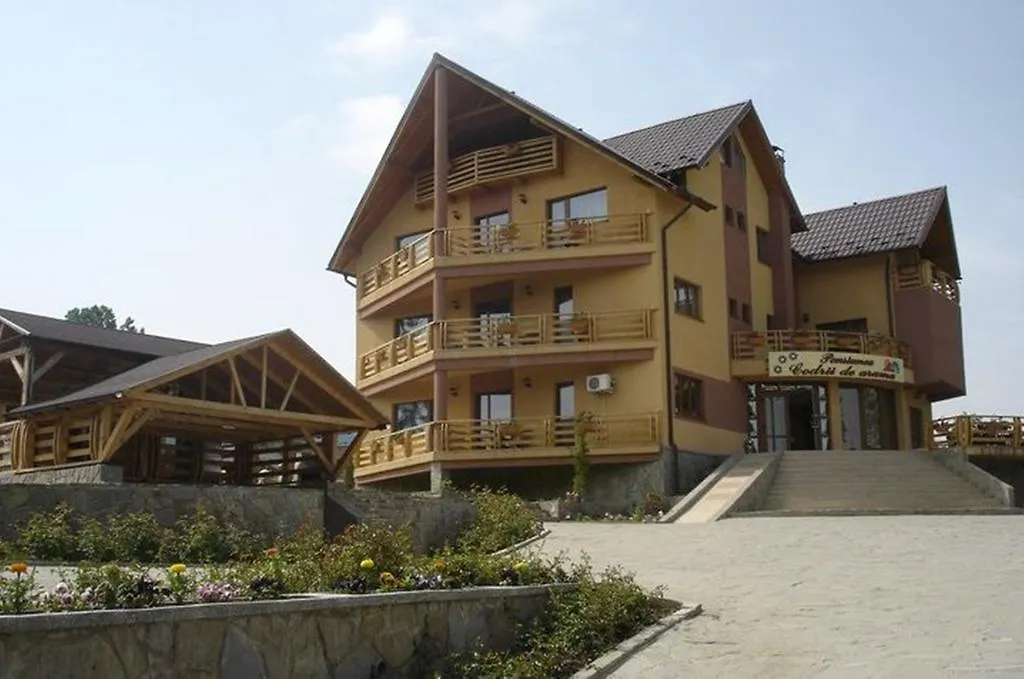 Pensiunea Codrii de arama-1