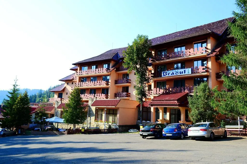 Hotel Bradul-1