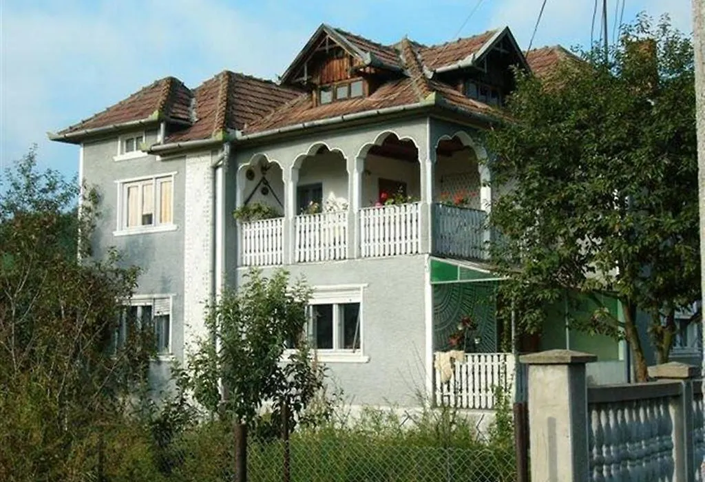 Pensiunea Tarina-1