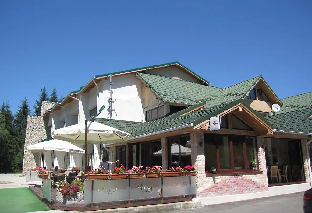 Vila Roxy Poiana Brasov-1