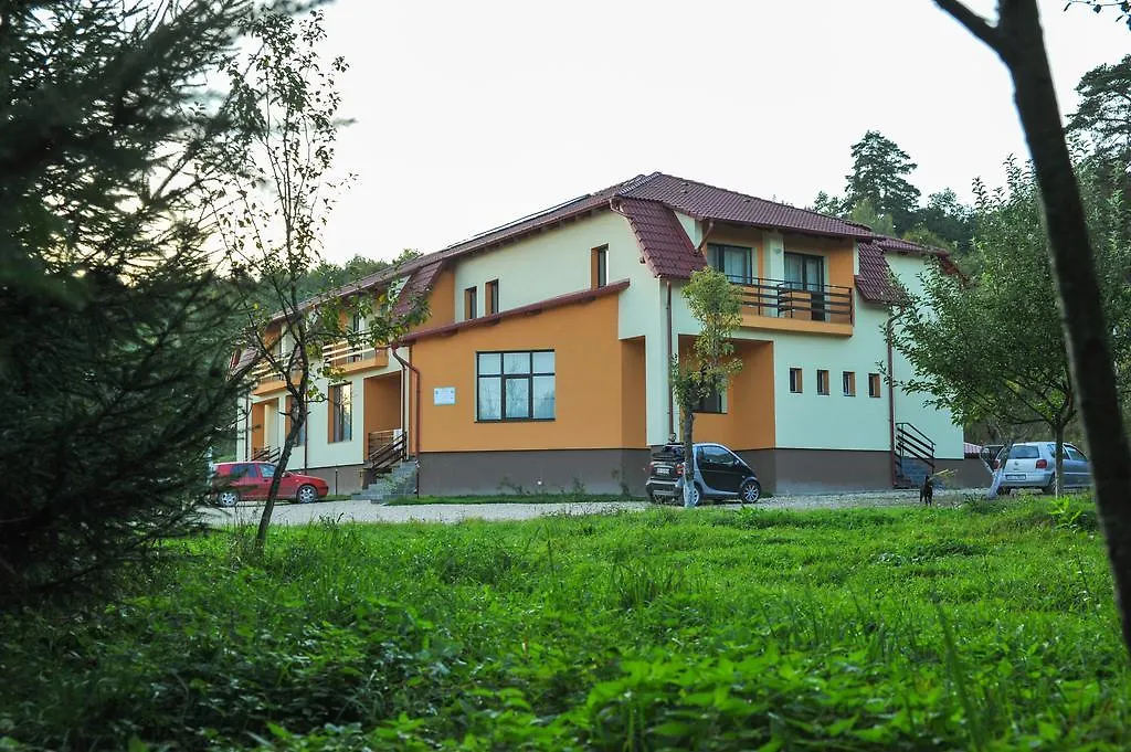 Rasarit de Soare-1