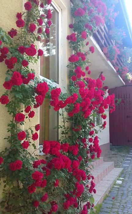 Pensiunea Răzvan-1