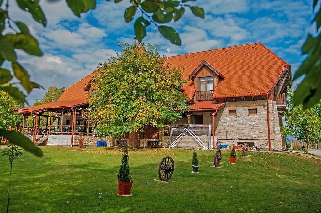 Hovirag Panzio-1